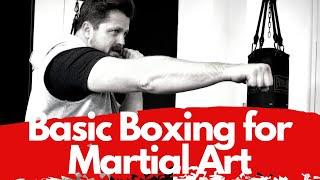 Beginner's Basic Boxing For Martial Arts [2020]