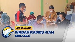 Korban Rabies di NTT Terus Bertambah