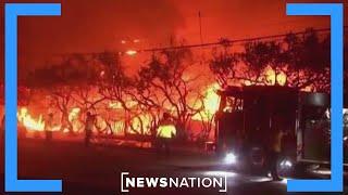 LA fires: What to know about fire coverage, home insurance | NewsNation Prime