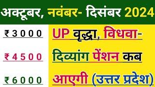 UP Pension Kab Aayegi 2024 | यूपी पेंशन कब आएगी 2024 | वृद्धा विधवा-दिव्यांग | अक्टूबर नवंबर दिसंबर