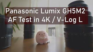 PANASONIC Lumix GH5M2 / AF TEST in 4K V-Log L