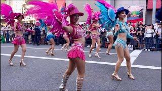 2024 ASAKUSA 39th SAMBA FESTIVAL #japan #samba #carnival