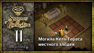 Могила Кель-Гараса - Neverwinter Nights: Shadows of Undrentide  - Прохождение за барда - #11