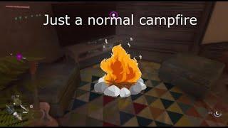 Just a normal campfire