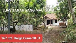 Dijual Murah Tanah Seluas 767 m2. SHM Cuma 20 JT. Cocok Buat Tanam Pohon Durian