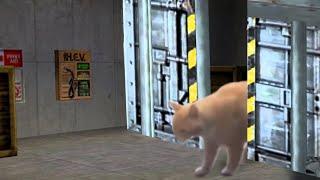 Half-Life Cat 2