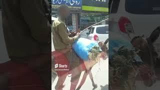 Donkey Riding Funny Video | Donkey Riding | Donkey Rider | Donkey Riding Village | Donkey Race