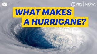 How Does A Hurricane Form? NOVA | PBS