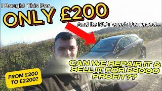 I Bought This Seat Ibiza For £200 And Its Not Crash Damaged, Lets Rebuild It To Make A Profit