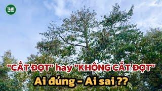 Cắt đọt hay không cắt đọt? Ai đúng - Ai sai? | Trạm Nông Nghiệp