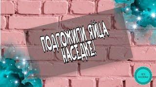 Подкладываем яйца под наседку! Жизнь Киселевых на Алтае!