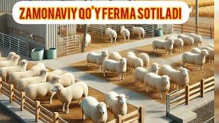 Ferma sotiladi +998917703399