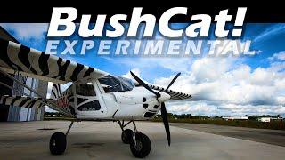 Kitplane! Skyreach Bushcat Aircraft - You Can Build and Afford FAST!