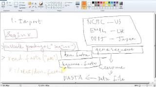 Bioinformatics through R Language - Part 3 (Calculation of GC Content)