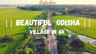 || ODISHA VILLAGE IN 4K || || Beautiful Odisha || Delanga in 4K || Village road Odisha || Drone View