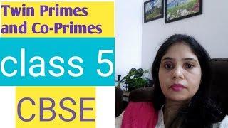 Twin Primes and Co-Primes || What is Twin Primes and Co-Primes || Class5 || CBSE