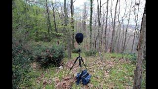 Early Spring - Binaural sound recording, Sounds of Nature.