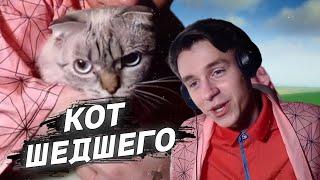 ШЕДШИЙ ПОКАЗЫВАЕТ КОТА