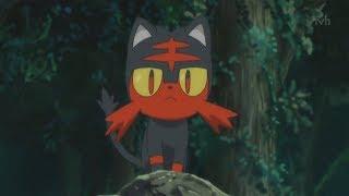 Litten AMV - You Can Be King Again [Lauren Aquilina]