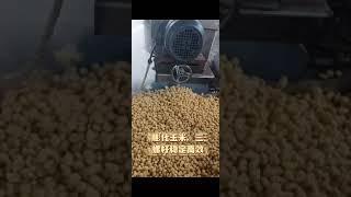 Puffed soybean and corn extruder,triple screw extruder,haiyuan steam soybean three screw extruder