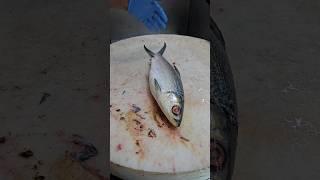 Amazing Giant Whole Milkfish Simple Cutting Skills#shorts