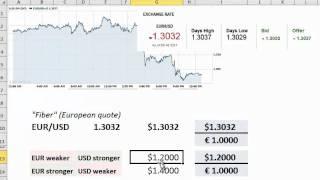 FRM: How to read a spot foreign exchange (FX) rate