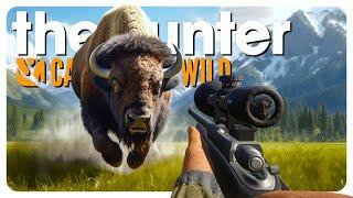 The BIGGEST BISON I have EVER seen! | theHunter: Call of the Wild