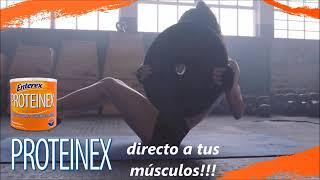 Proteinex