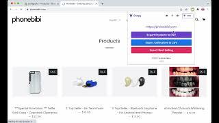 How to duplicate a Shopify store quickly?