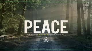 HIP HOP INSTRUMENTAL | Peace Beat | RAP EMOTIONAL TYPE | Sale