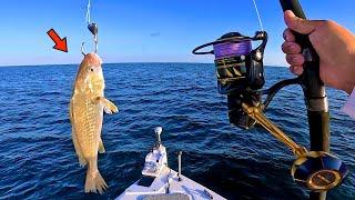 Fishing a LIVE! CROAKER 100' DEEP in the GULF for my DINNER! [Catch, Clean, Cook]