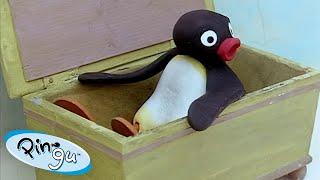 Pingu Needs Help  | Pingu - Official Channel | Cartoons For Kids