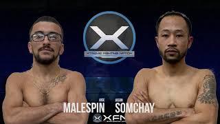 XFN27 Malespin vs Somchay Combat Grappling