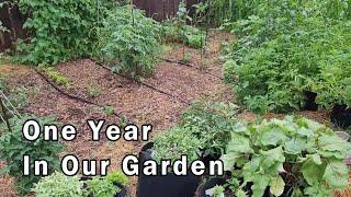 A Year of Growth: Revisiting Our Monthly Garden Adventures From Last Year