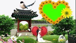 Wedding GreenScreen effects video Happy Anniversary Vedding background video effects hd GreenScreen