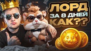 ДО ЛОРДА ЗА 8 ДНЕЙ - САМАЯ БЫСТРАЯ ПРОКАЧКА в Хамстер Комбат / Гайд по Hamster Kombat