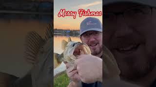 Florida Largemouth Bass Pond Fishing! #bassfishing #floridafishing #fishmas #largemouthbass