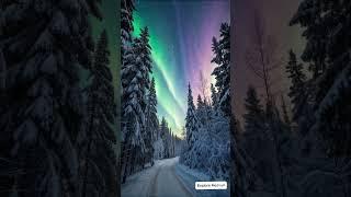 Magical Northern Lights Over Snowy Paradise | #winter #travel #mystery #borealis #tour