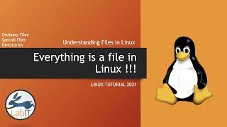 Everything is a file in linux | Linux Tutorial 2021 | Linux masterclass