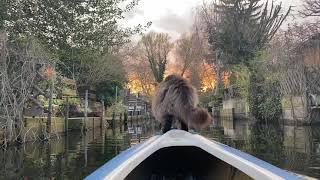 Louis kayaking in sunset