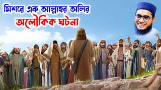 মিশরের এক আল্লাহর অলির অলৌকিক ঘটনা | shahidur rahman mahmudabadi waz 2022 bangla waz Islamic tv 24