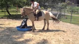 OH Tianna   Horse and Rider Challenge   Medium