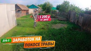 День 6 | 1 200 рублей за двор. Заработок на покосе травы триммером.