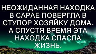 Неожиданная НАХОДКА в сарае повергла в ступор хозяйку дома. А спустя время эта находка СПАСЛА жизн