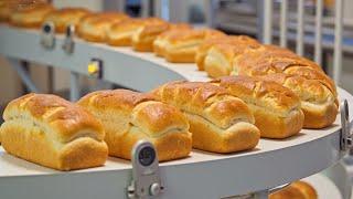 How Sandwich Bread is Made in a Factory | Millions of Loaves Produced in a Giant Facility