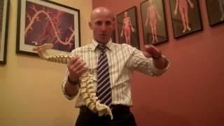 The Power Zone of the Spine - Dr. Jeremy Brook - Los Angeles Chiropractor