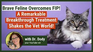 FIP Survivor's Story: How One Lucky Cat Triumphed Over Feline Infectious Peritonitis!