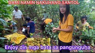 NANGUHA KAMI NG SANTOL