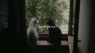 old love - yuji, putri dahlia | speed up [tiktok version]