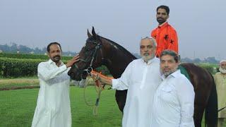 3rd Race Salah-ud-Din Ayubi Cup Distance 900 Meters Winner Babar king ( Pakistan Horse Racing )